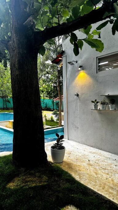 Serenity Farm Stay Hampāpura Exteriér fotografie
